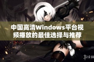 中国高清Windows平台视频播放的最佳选择与推荐