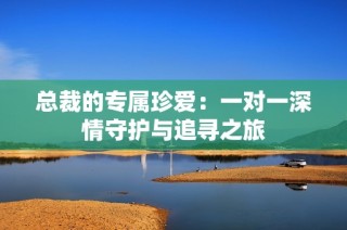 总裁的专属珍爱：一对一深情守护与追寻之旅