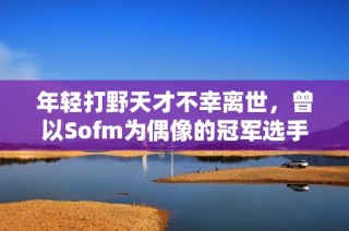 年轻打野天才不幸离世，曾以Sofm为偶像的冠军选手年仅22岁
