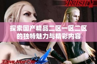 探索国产精品二区一区二区的独特魅力与精彩内容