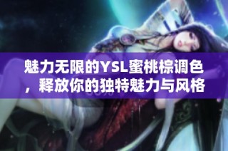 魅力无限的YSL蜜桃棕调色，释放你的独特魅力与风格
