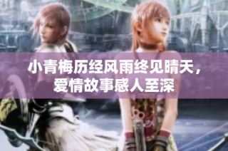 小青梅历经风雨终见晴天，爱情故事感人至深