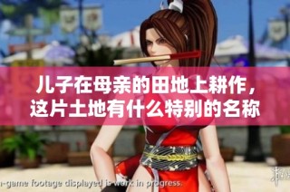 儿子在母亲的田地上耕作，这片土地有什么特别的名称？