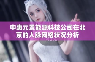中惠元景能源科技公司在北京的人脉网络状况分析