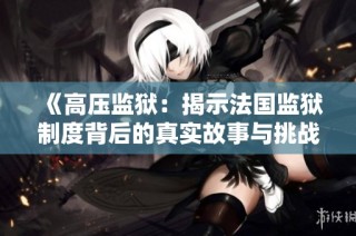 《高压监狱：揭示法国监狱制度背后的真实故事与挑战》