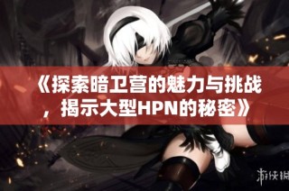 《探索暗卫营的魅力与挑战，揭示大型HPN的秘密》