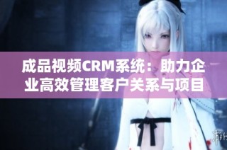 成品视频CRM系统：助力企业高效管理客户关系与项目进展