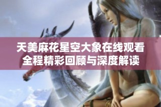 天美麻花星空大象在线观看全程精彩回顾与深度解读