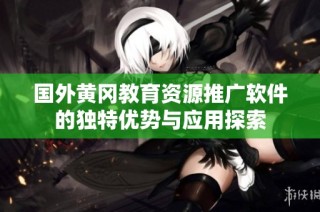 国外黄冈教育资源推广软件的独特优势与应用探索