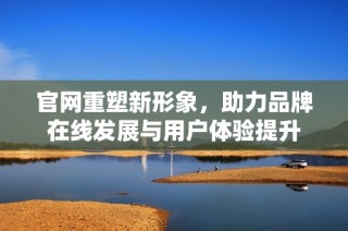 官网重塑新形象，助力品牌在线发展与用户体验提升