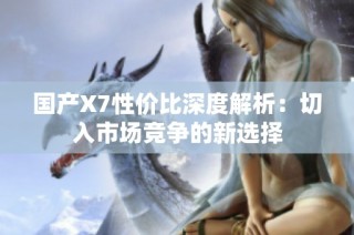 国产X7性价比深度解析：切入市场竞争的新选择