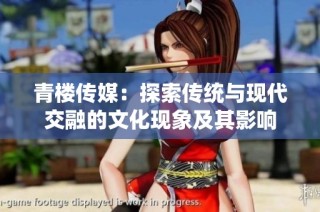青楼传媒：探索传统与现代交融的文化现象及其影响