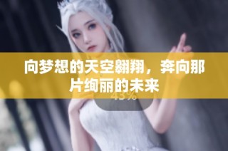 向梦想的天空翱翔，奔向那片绚丽的未来