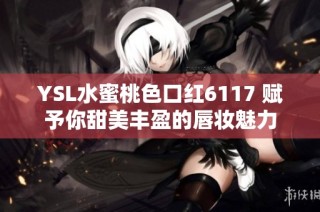 YSL水蜜桃色口红6117 赋予你甜美丰盈的唇妆魅力