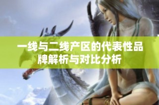 一线与二线产区的代表性品牌解析与对比分析