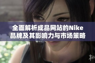 全面解析成品网站的Nike品牌及其影响力与市场策略