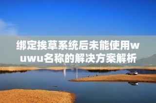 绑定挨草系统后未能使用wuwu名称的解决方案解析