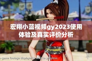 宏翔小蓝视频gy2023使用体验及真实评价分析