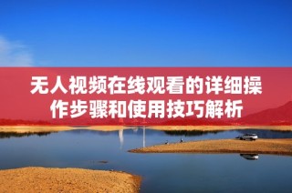 无人视频在线观看的详细操作步骤和使用技巧解析
