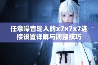 任意噪音输入的x7x7x7连接设置详解与调整技巧