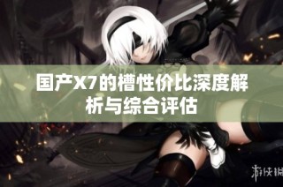 国产X7的槽性价比深度解析与综合评估