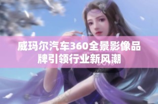 威玛尔汽车360全景影像品牌引领行业新风潮