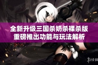 全新升级三国杀奶杀裸杀版重磅推出功能与玩法解析