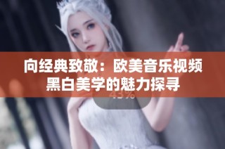 向经典致敬：欧美音乐视频黑白美学的魅力探寻