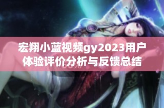 宏翔小蓝视频gy2023用户体验评价分析与反馈总结