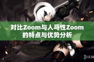 对比Zoom与人马性Zoom的特点与优势分析