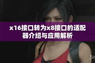 x16接口转为x8接口的适配器介绍与应用解析
