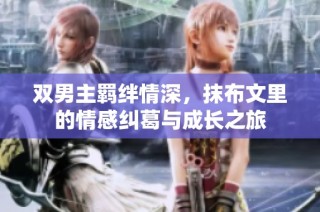 双男主羁绊情深，抹布文里的情感纠葛与成长之旅