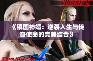 《镇国神婿：逆袭人生与传奇使命的完美结合》
