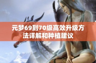 元梦69到70级高效升级方法详解和种植建议