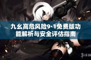 九幺高危风险9·1免费版功能解析与安全评估指南