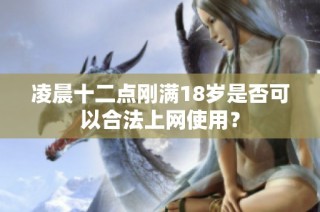凌晨十二点刚满18岁是否可以合法上网使用？