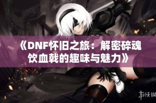 《DNF怀旧之旅：解密碎魂饮血戟的趣味与魅力》