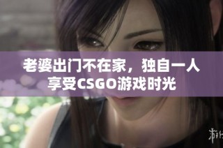老婆出门不在家，独自一人享受CSGO游戏时光