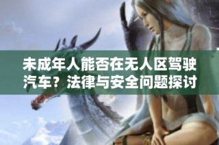 未成年人能否在无人区驾驶汽车？法律与安全问题探讨