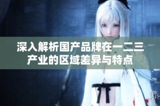 深入解析国产品牌在一二三产业的区域差异与特点