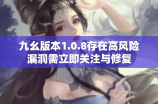 九幺版本1.0.8存在高风险漏洞需立即关注与修复