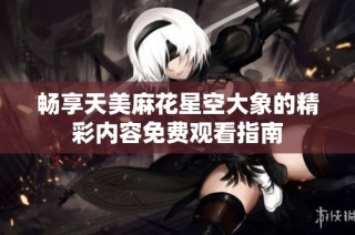 畅享天美麻花星空大象的精彩内容免费观看指南