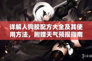 详解人狗胶配方大全及其使用方法，附赠天气预报指南