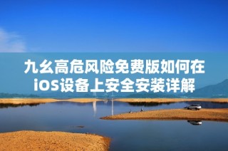 九幺高危风险免费版如何在iOS设备上安全安装详解