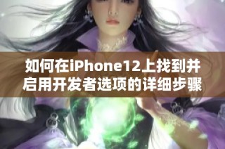 如何在iPhone12上找到并启用开发者选项的详细步骤