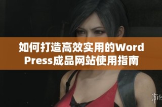 如何打造高效实用的WordPress成品网站使用指南