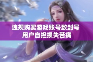 违规购买游戏账号致封号 用户自担损失苦痛