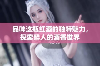 品味这瓶红酒的独特魅力，探索醉人的酒香世界