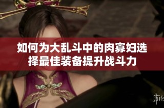 如何为大乱斗中的肉寡妇选择最佳装备提升战斗力