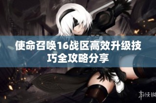 使命召唤16战区高效升级技巧全攻略分享